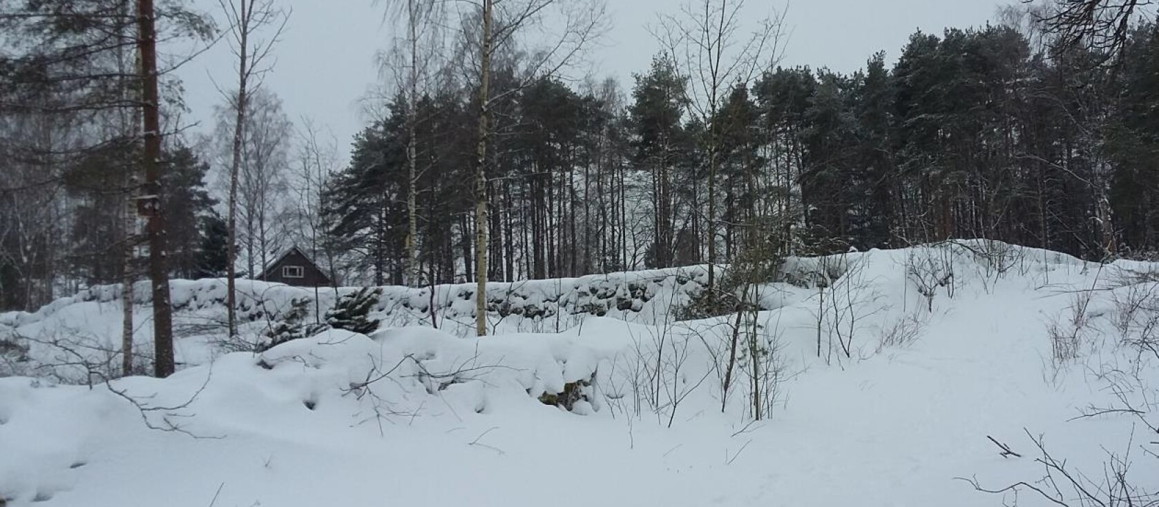 Frill-alue, tammikuu 2021