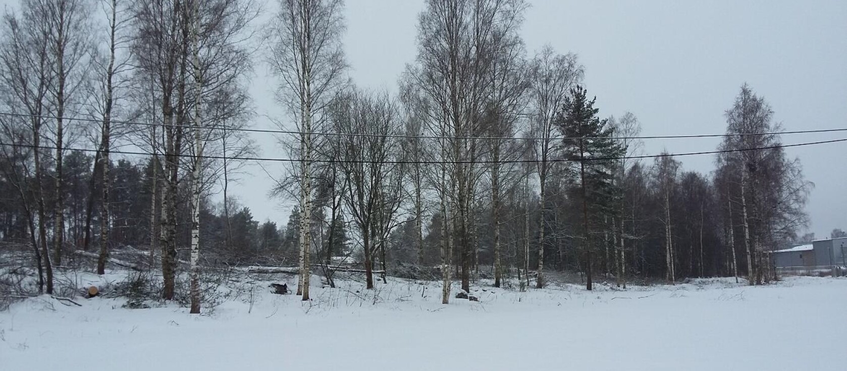 Frill-alue, tammikuu 2021