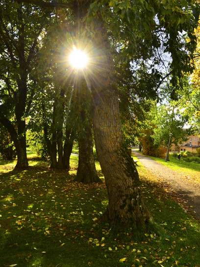 77b21f247bd9de137f97d02f134fe822