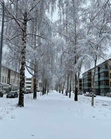 Vinter Topeliusesplanaden v2